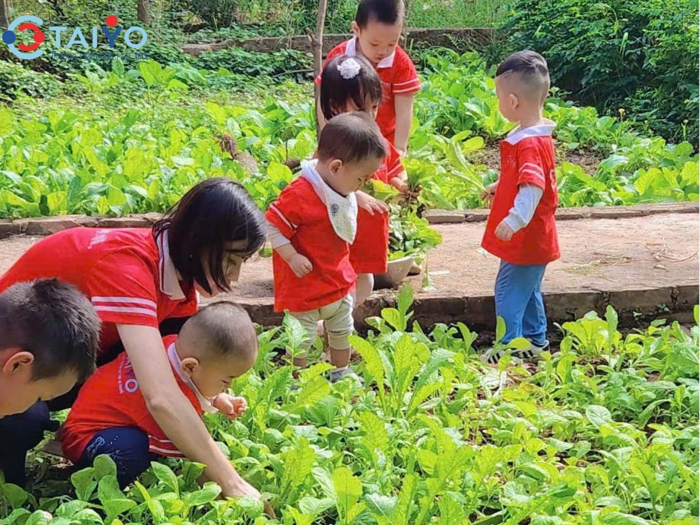 Với đôi tay nhỏ bé, các bé tự tay gieo hạt, tưới nước